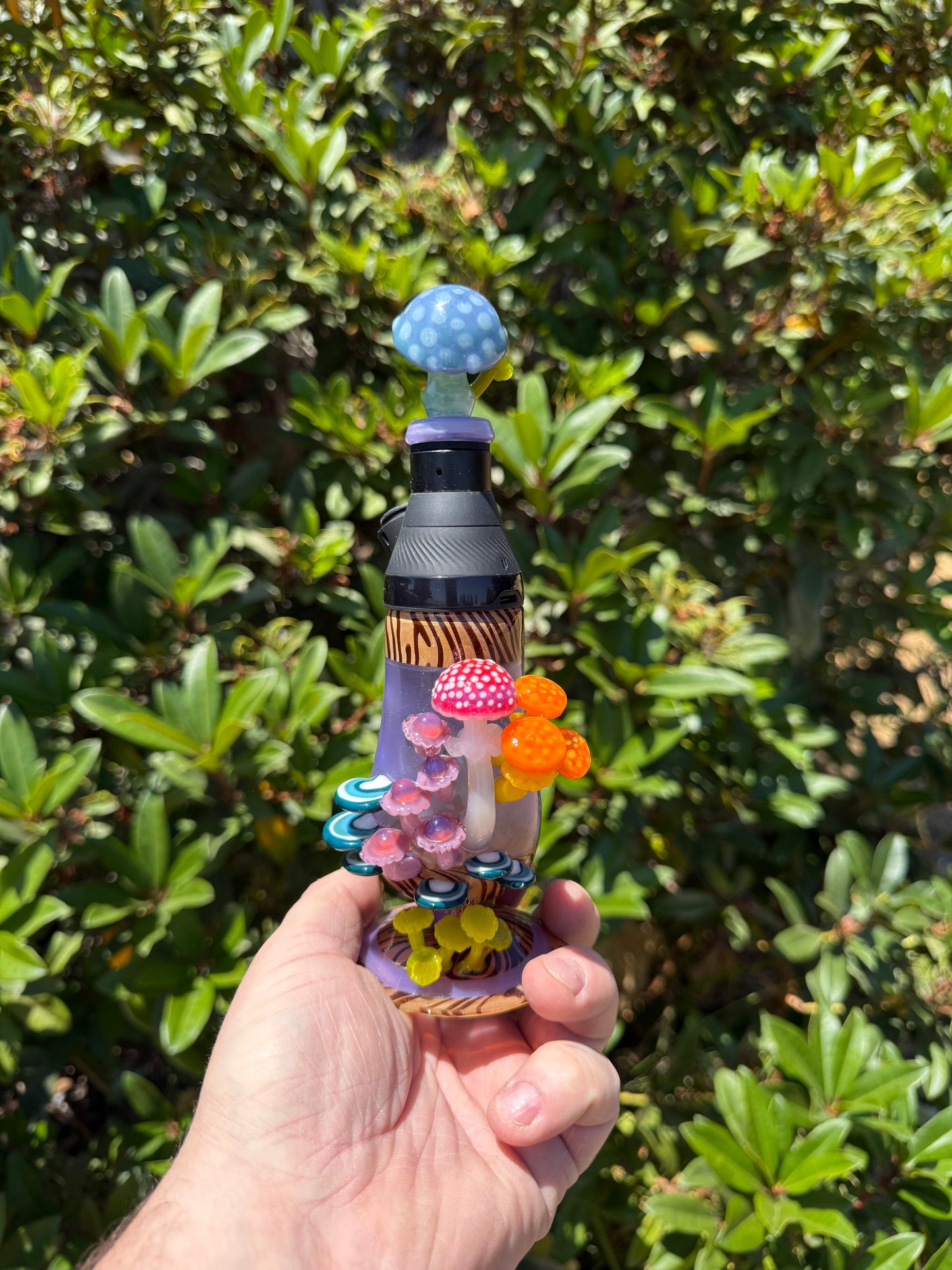 Core Cup Mushroom Set EF/Shelley Sunshine colab