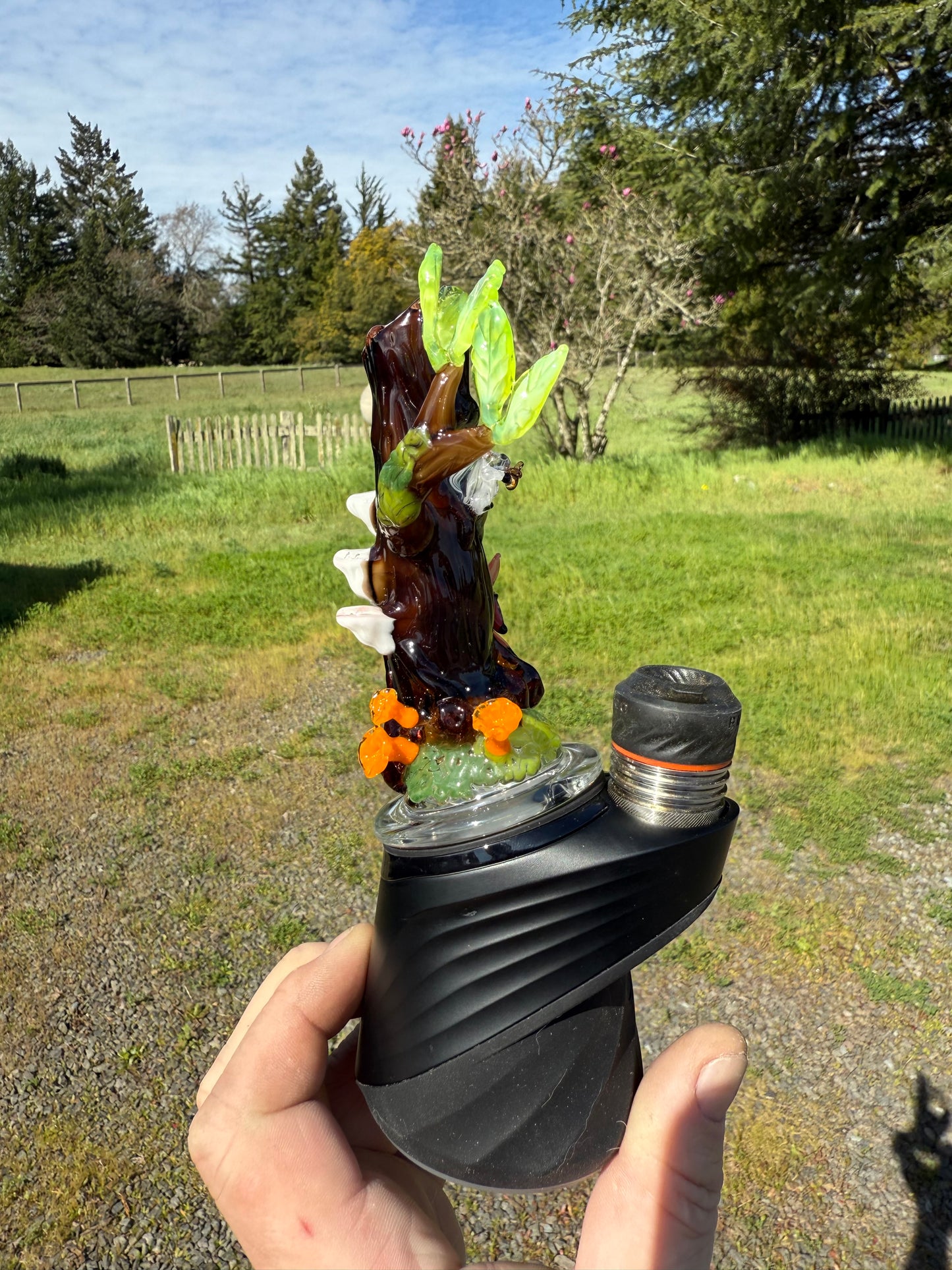 Tree of Critters