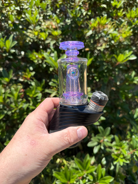 Guppy Crushed opal with Purple Cfl Over Royal Kelly