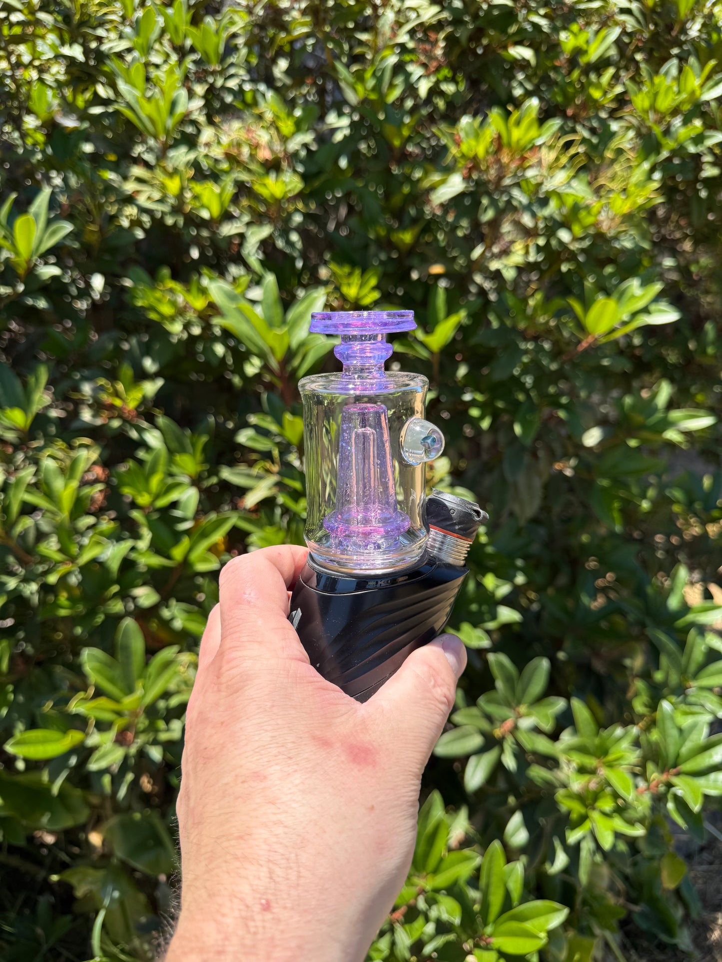 Guppy Crushed opal with Purple Cfl Over Royal Kelly
