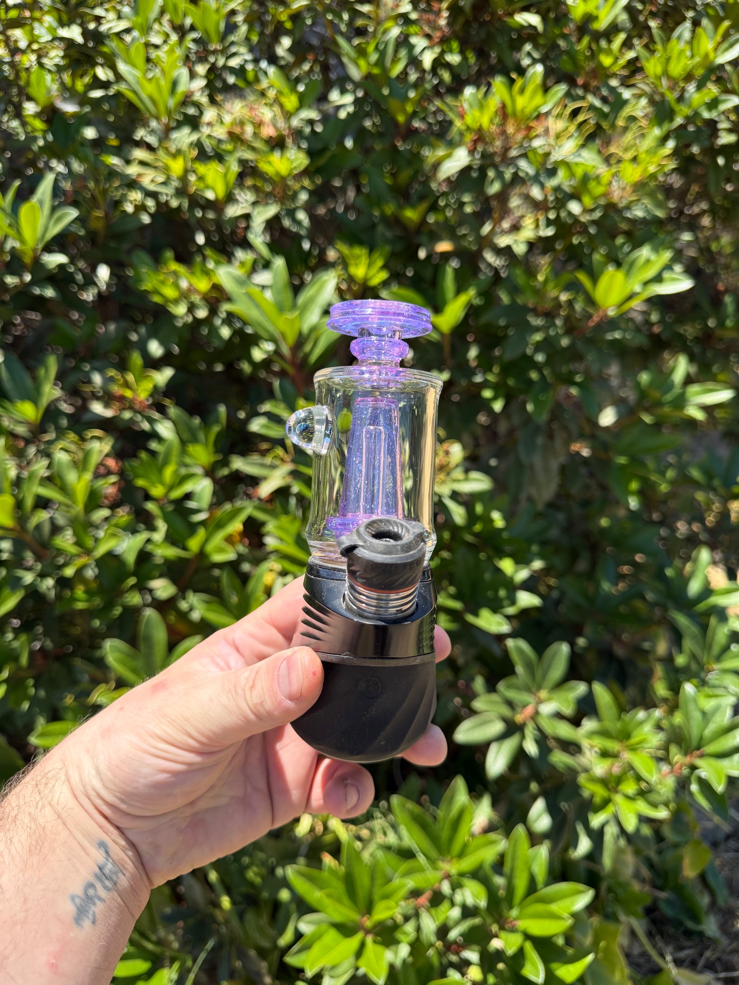 Guppy Crushed opal with Purple Cfl Over Royal Kelly