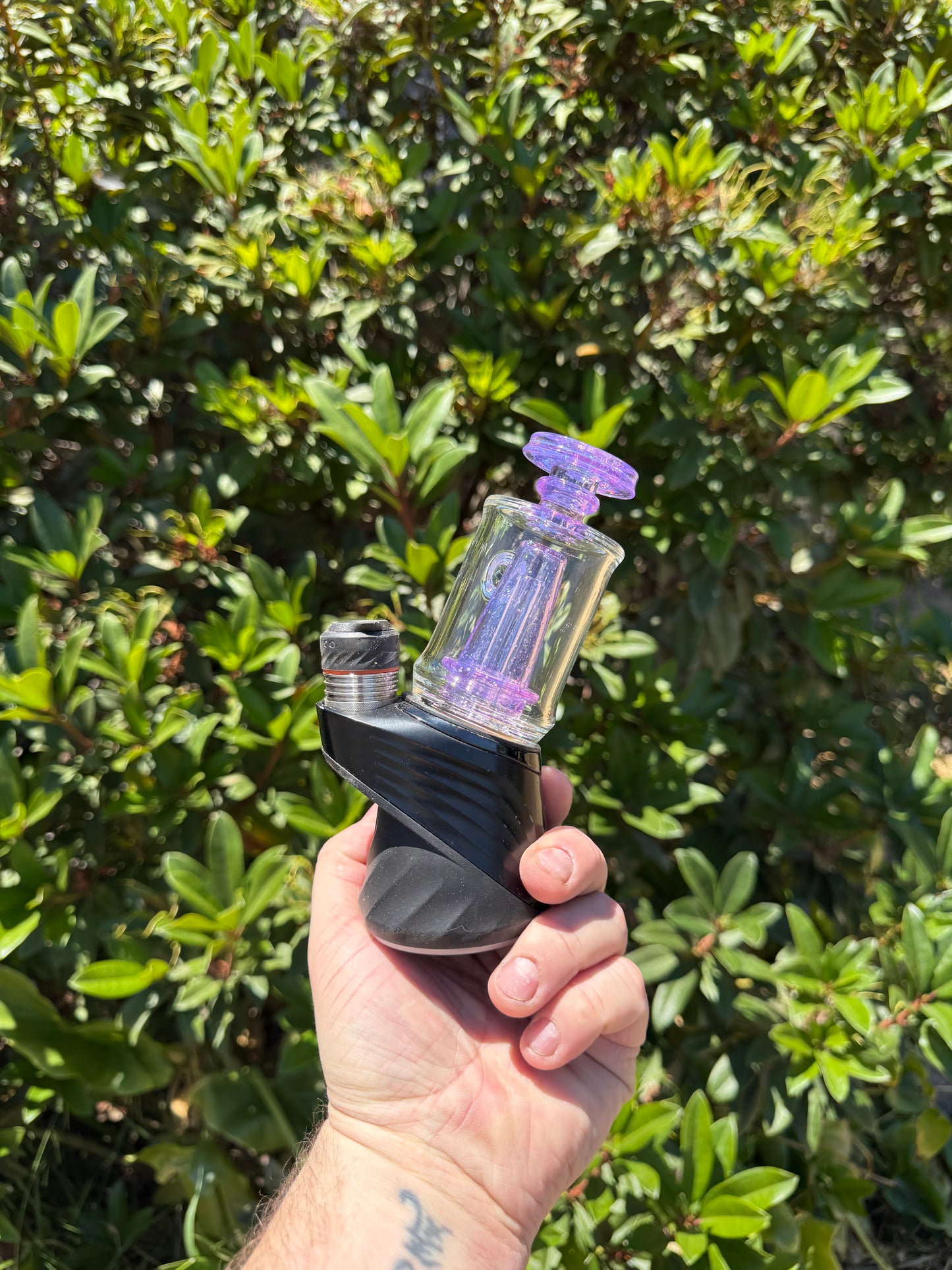 Guppy Crushed opal with Purple Cfl Over Royal Kelly