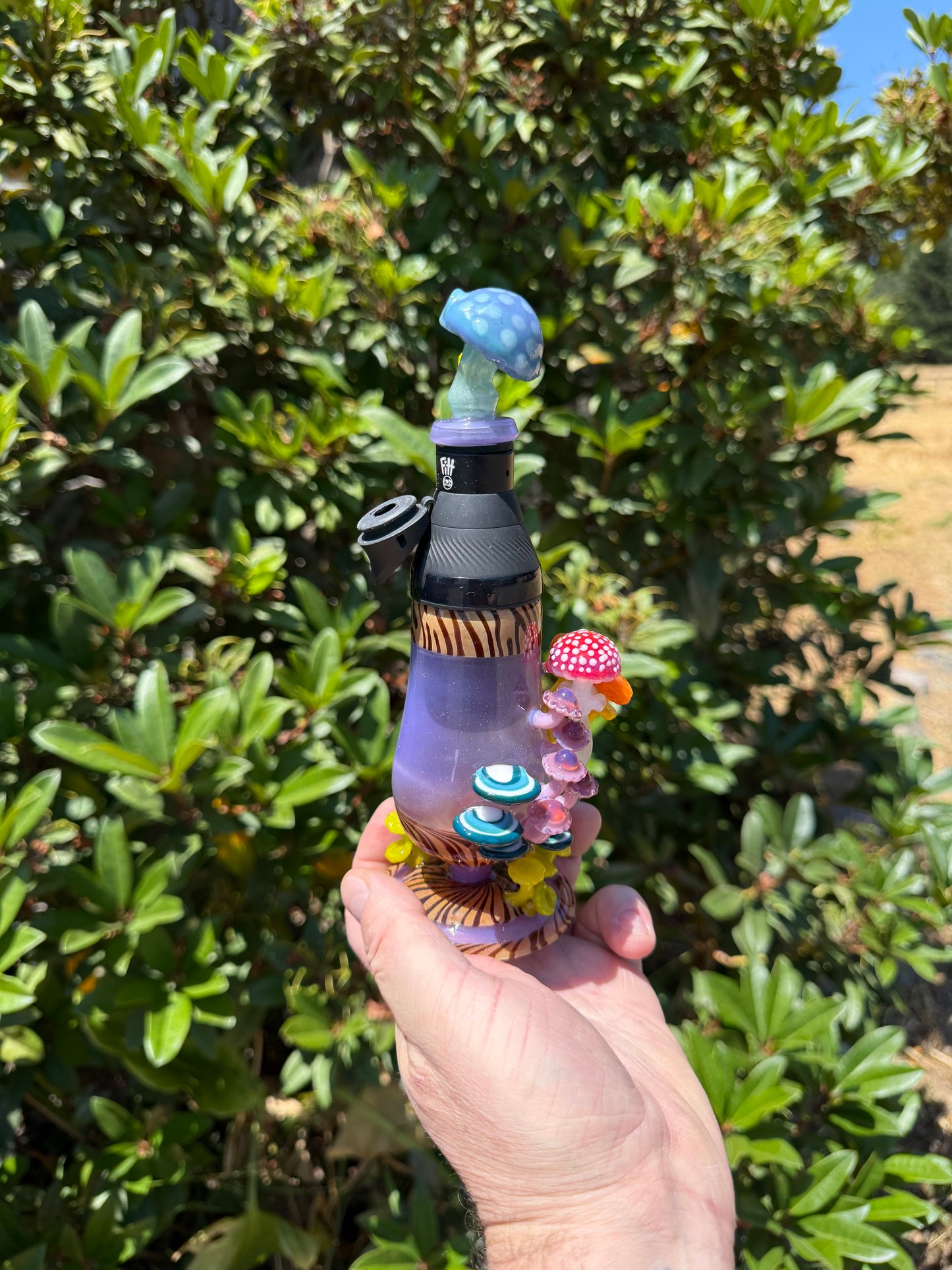 Core Cup Mushroom Set EF/Shelley Sunshine colab