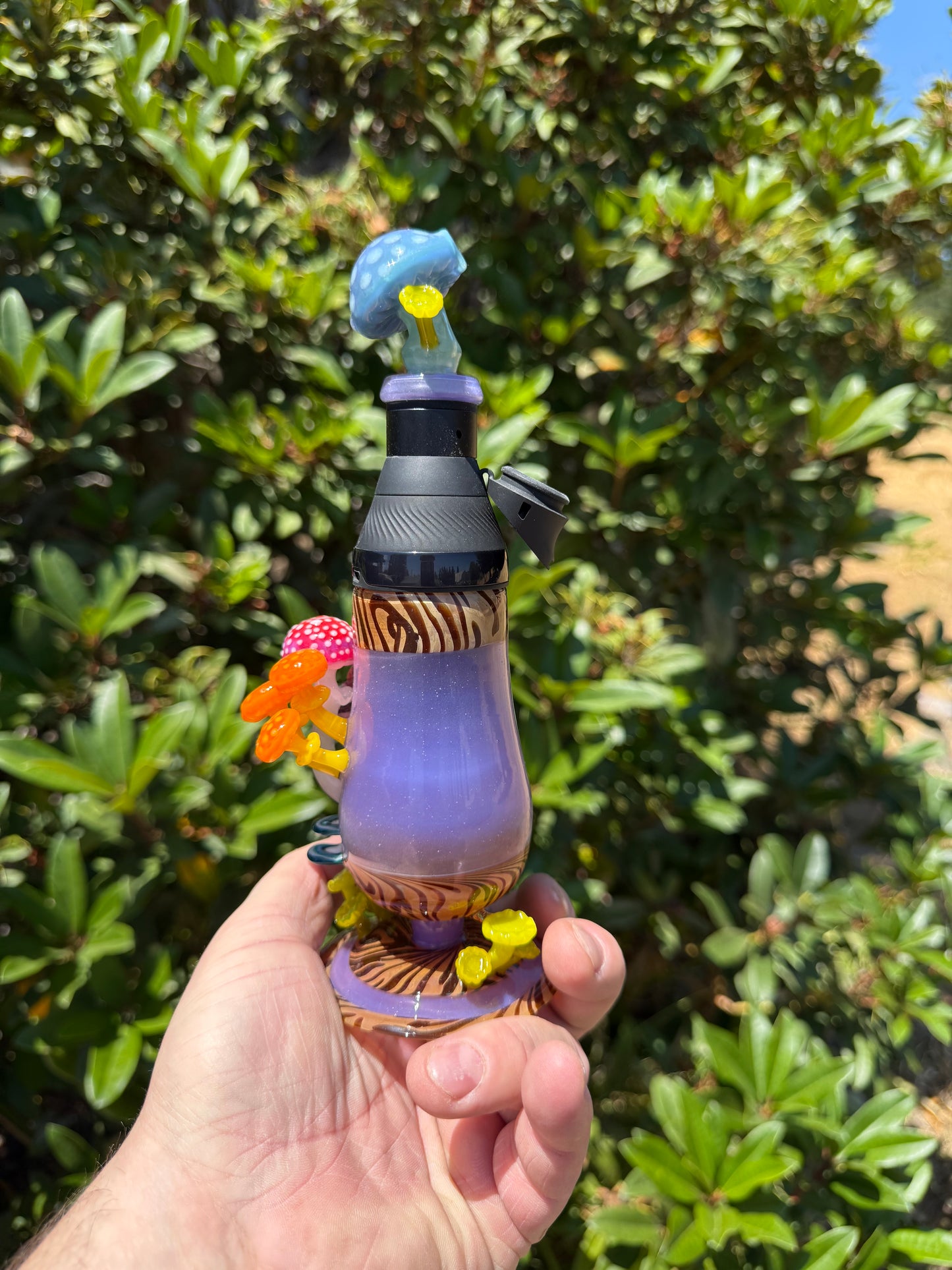 Core Cup Mushroom Set EF/Shelley Sunshine colab