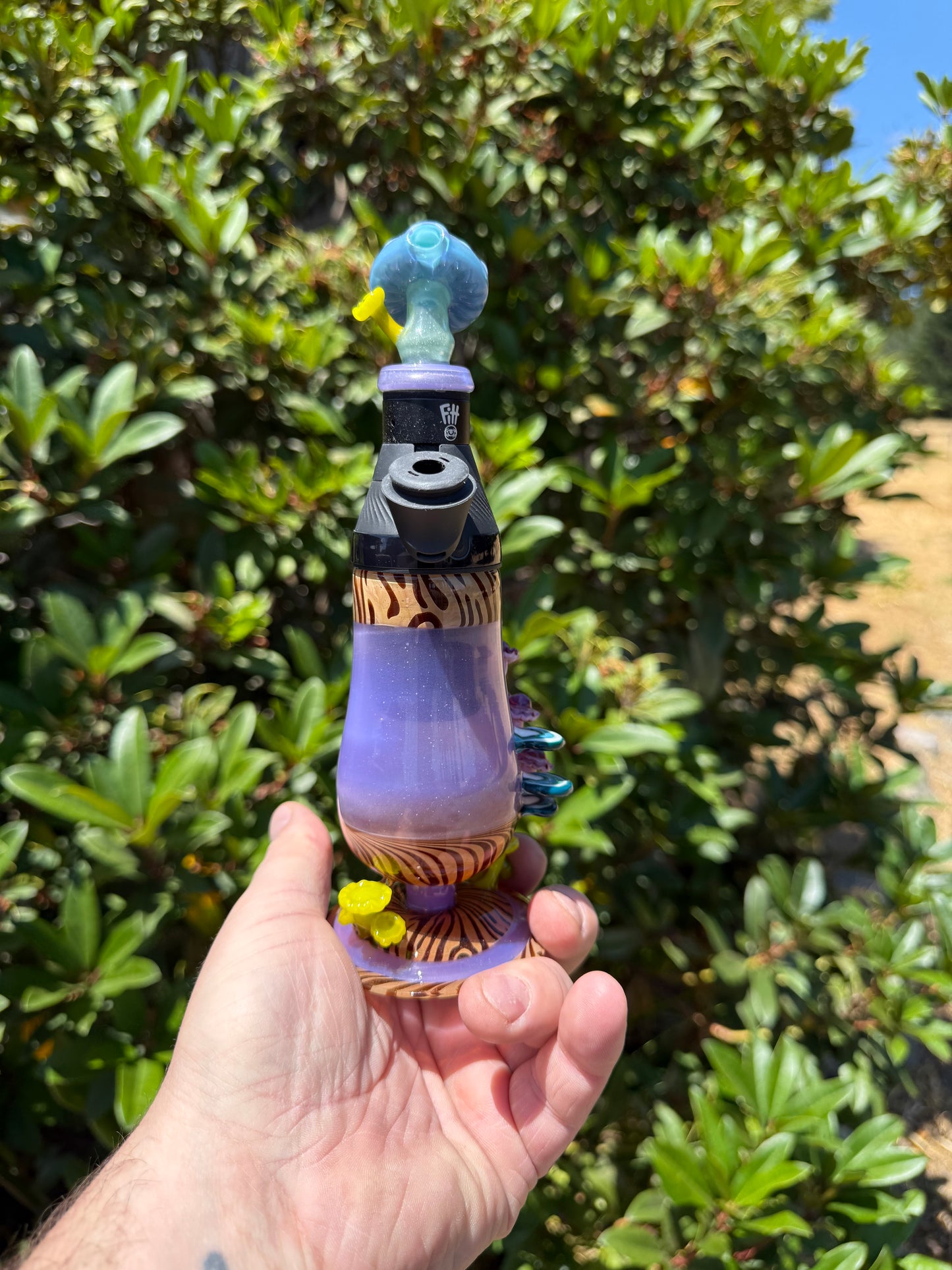 Core Cup Mushroom Set EF/Shelley Sunshine colab
