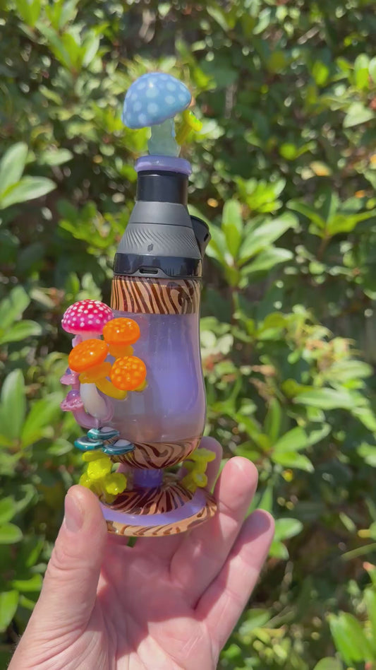 Core Cup Mushroom Set EF/Shelley Sunshine colab