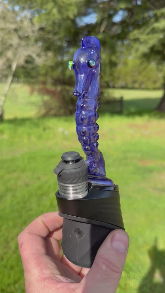 Habitat_Glass Seahorse Dry Attachment Empire