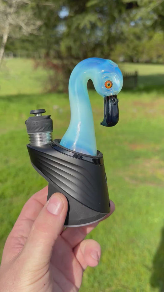 Burtoni Flamingo Head Dry Attachment Ghost