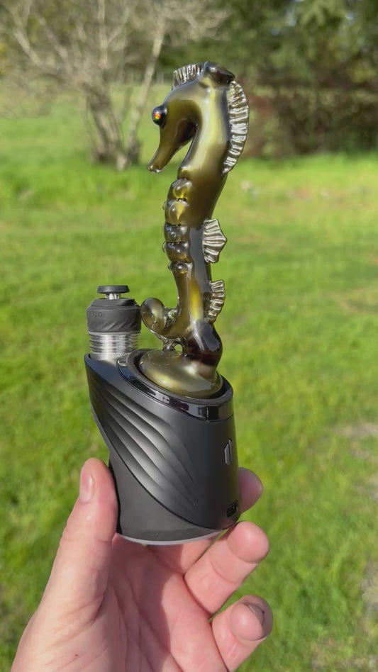 Habitat_Glass Seahorse Dry Attachment Pearl